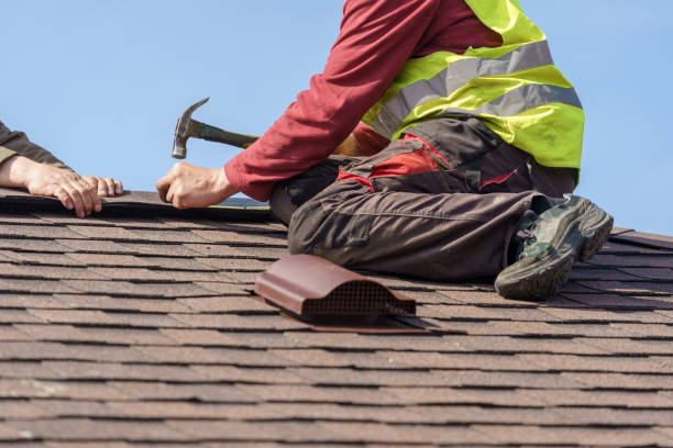 Best Roof Leak Repair  in Nicholson, MS