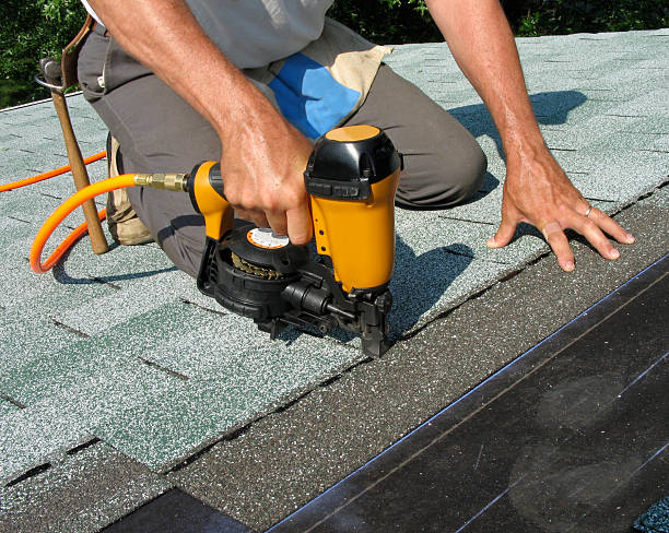 Best Roof Repair Specialists  in Nicholson, MS