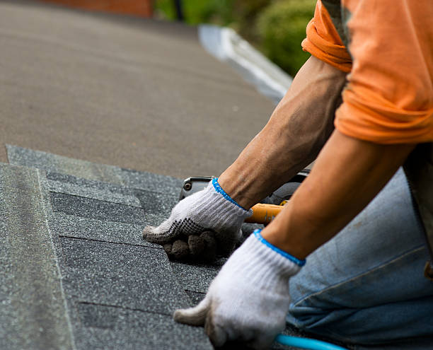 Best Shingle Roofing Installation  in Nicholson, MS